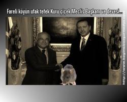 Fareli köyün ufak tefek Kuru çiçek Meclis Başkanı ve devesi...