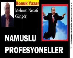NAMUSLU PROFESYONELLER