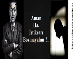 Erdal Akalın: Aman  Ha,  İstikrarı  Bozmayalım  !..