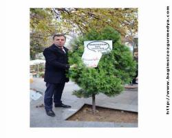 Gazeteciler için ağaç süsledi