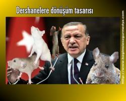 Dershanelere dönüşüm tasarısı