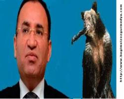 Avukat omuş ama bilimden haberi yok dilemekle bu işler olur mu! Dilermiş, Türkiye’ye iade edilmesini
