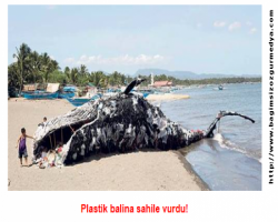 5 HAZİRAN, DÜNYA ÇEVRE GÜNÜ KUTLU OLSUN !!!