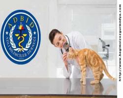 BASIN BİLDİRİSİ (Detay)