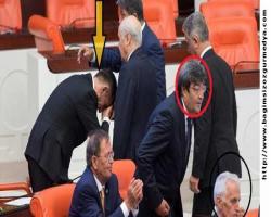 Tüm yaratıklar bir şekilde bir şeyler mecbur! Arılarla sinekler ile savamaya mecbur…
