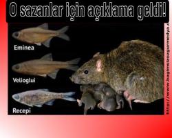 O sazanlar için açıklama geldi!