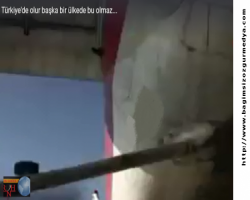 Bu olgu yalnız padişah döneminde olur oda burada Türkiye'de İzmir'de uçak, otomobile çarptı...