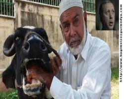 Burada ne olur bilinmez ama Pakistan'da eski Başbakan Şerif'e ait mandalarını satıldı...