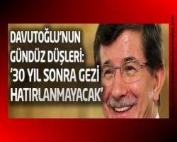 Genetiği bozuk sıçan balık kafalı Davutoğlu'nun gündüz düşleri: '30 yıl sonra Gezi hatırlanmayacak'