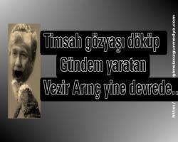 Timsah gözyaşı döküp gündem yaratan vezir Arınç yine gündemde....
