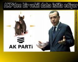 Fareli köyden bir vekil daha istifa ediyor