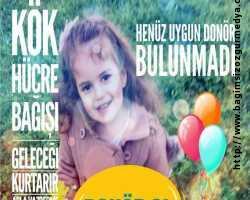 Benim Kızım Okuyacak Ailesi Kök hücre bağışı yapıyor…  