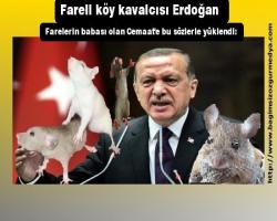 Fareli köy kavalcısı Erdoğan Farelerin babası olan Cemaat'e bu sözlerle yüklendi: