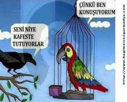 Susmuyoruz; Güler misin Ağlar mısın? Vatandaşın DİPLOMA FOTOKOPİSİNDE BİR SKANDAL DAHA!