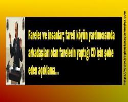 Fareler ve insanlar; fareli köyün yardımcısında arkadaşları olan farelerin yaptığı CD için şoke eden