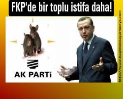 FKP'de bir toplu istifa daha!