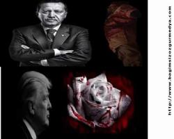 ‘TÜRKİYE, 24 SAAT İÇİNDE SURİYE OPERASYONUNU BAŞLATACAK’ TRUMP KONUŞTU...