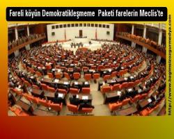 Fareli köyün Demokratikleşmeme  Paketi farelerin Meclis'te