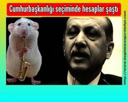 Cumhurbaşkanlığı seçiminde hesaplar şaştı
