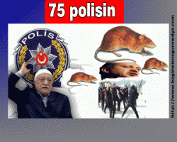 Habip ATAM haberi : 75 polisin (ayrıntı)