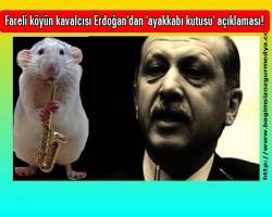 Fareli köyün kavalcısı Erdoğan'dan 'ayakkabı kutusu' açıklaması!