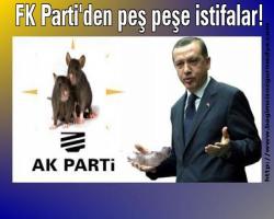 Fareli Köy Parti'den peş peşe istifalar!