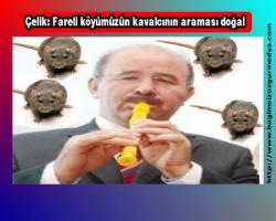 Çelik: Fareli köyümüzün kavalcısının araması doğal