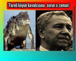 'Fareli köyün kavalcısına  sorun o zaman'