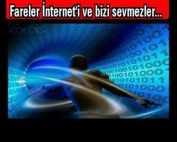Fareler İnternet'i ve bizi sevmezler...