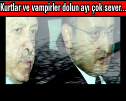 Kurtlar ve vampirler dolun ayı çok sever...