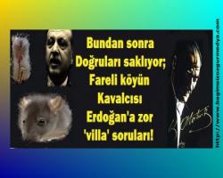 Bundan sonra her zamanki gibi doğruları saklıyor; Fareli köyün kavalcısı  Erdoğan'a zor 'villa' soru