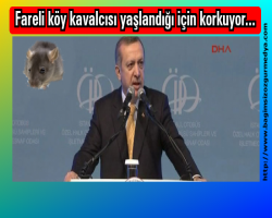 Fareli köy kavalcısı yaşlandığı için korkuyor...