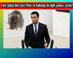 Fare Şükür'den Gezi Parkı ve Kabataş ile ilgili çarpıcı sözler!
