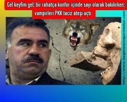 Gel keyfim gel; bir rahatça konfor içinde sayın olarak bakılırken;  vampirler PKK taciz ateşi açtı