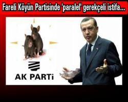 Fareli Köyün Partisinde 'paralel' gerekçeli istifa...