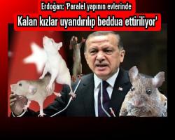 Fareli köy kavalcısı Erdoğan: 'Paralel yapının evlerinde kalan kızlar uyandırılıp beddua ettiriliyor