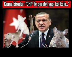 Kızma birader :