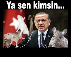 Ya sen kimsin...