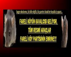 FARELİ KÖYÜN KAVALCISI GELİYOR, TÜM RESMİ ARAÇLAR FARELİ KÖY PARTİSİNİN EMRİNE!!!