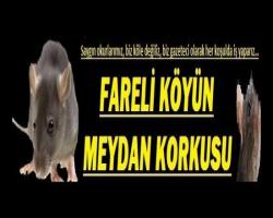 FARELİ KÖYÜN MEYDAN KORKUSU