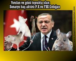 Yorulan ve gözü toprakta olan;Senaryo baş aktörü  P.K ve FKK olan  siyaseti bırakma şartını açıkladı