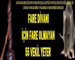 FARE DİVANI  İÇİN FARE OLMAYAN 55 VEKİL YETER