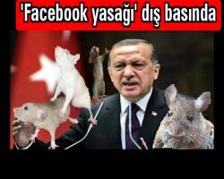 'Facebook yasağı' dış basında