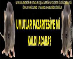 UMUTLAR PAZARTESİYE Mİ KALDI ACABA?