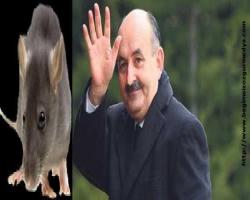 Parası olmayana kürtaj yasağı