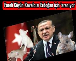 Fareli köyün kavalcısı Erdoğan için 'aranıyor'