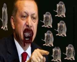 Fareli köyün kavalcısı Erdoğan 'Kurabiye Tayyip'e böyle sinirlenmiş!