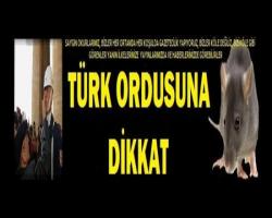 TÜRK ORDUSUNA DİKKAT