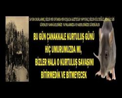 BU GÜN ÇANAKKALE KURTULUŞ GÜNÜ HİÇ UMURUMUZDA MI,