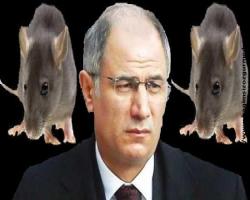Atanmış atılmış biri olan; Efkan Âlâ’dan Berkin Elvan açıklaması...